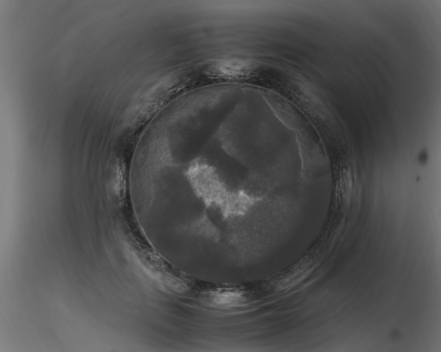 X0000116580651200912101541