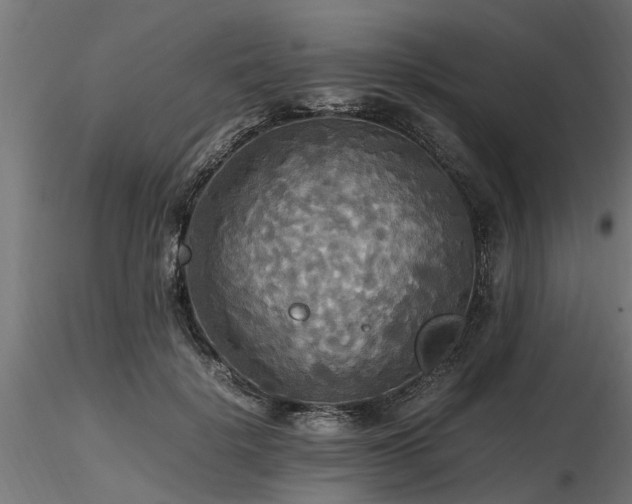 X0000116580652200912101541