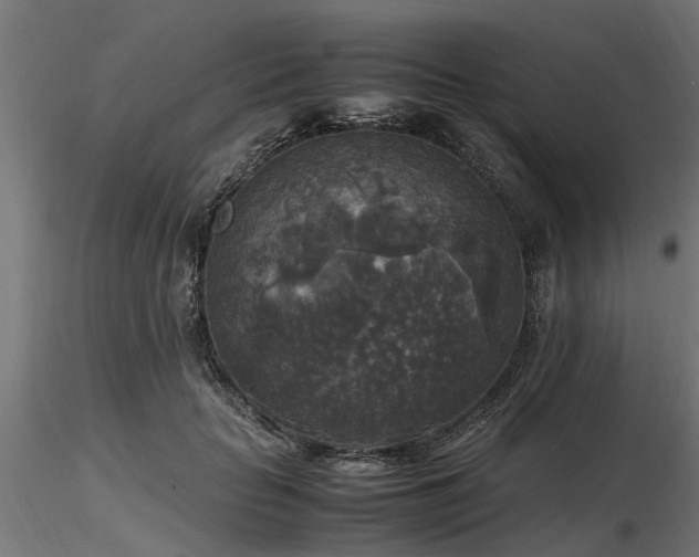 X0000116580653200912101541