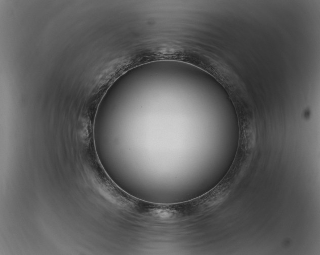 X0000116580654200912101541