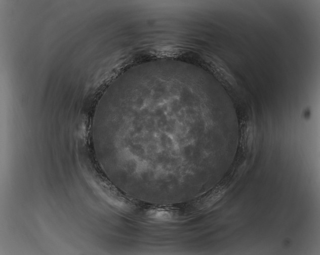 X0000116580655200912101541