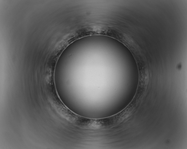 X0000116580656200912101541