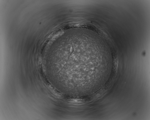 X0000116580657200912101541