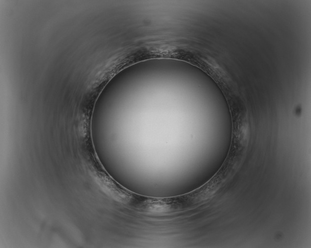 X0000116580658200912101541