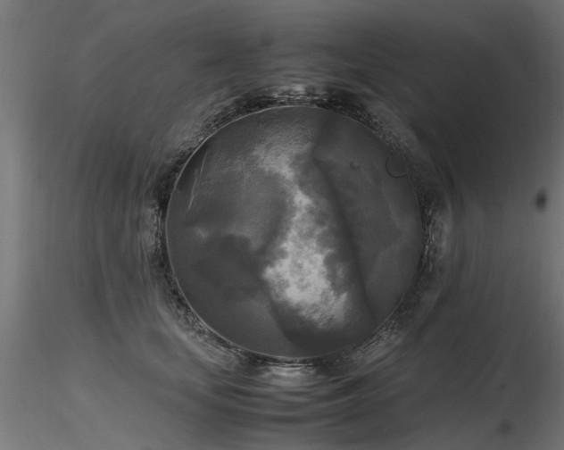 X0000116580659200912101541