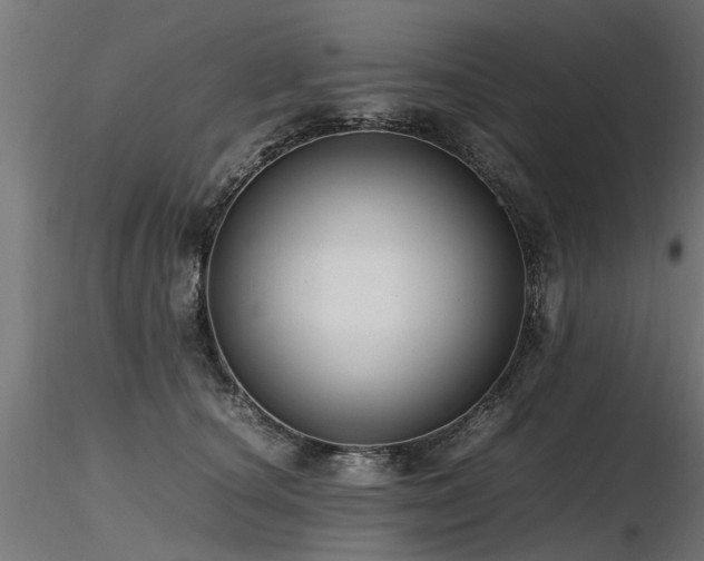 X0000116580660200912101541