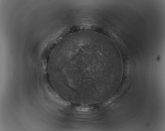 X0000116580661200912101541