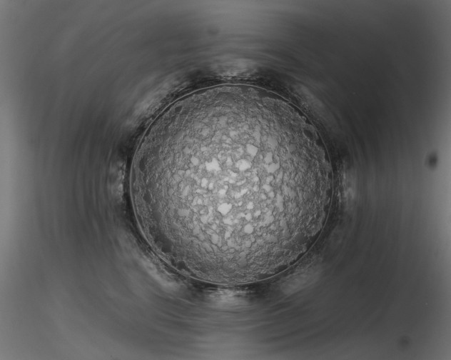 X0000116580664200912101542