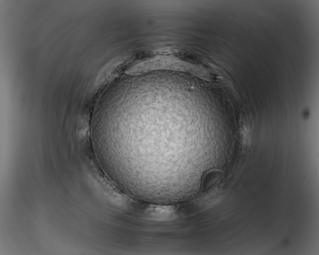 X0000116580665200912101542