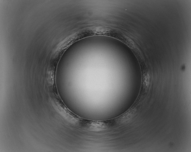 X0000116580666200912101542