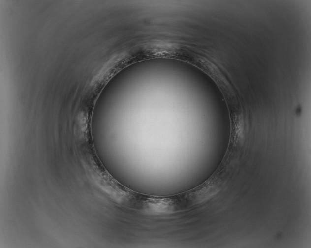 X0000116580667200912101542