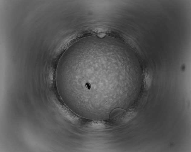 X0000116580668200912101542