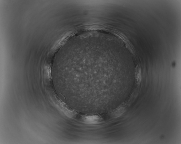 X0000116580669200912101542