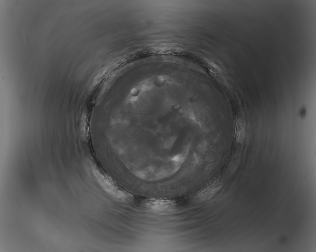 X0000116580670200912101542