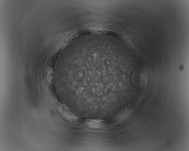 X0000116580671200912101542