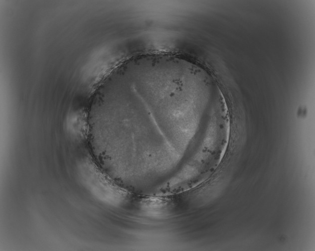 X0000116580672200912101542