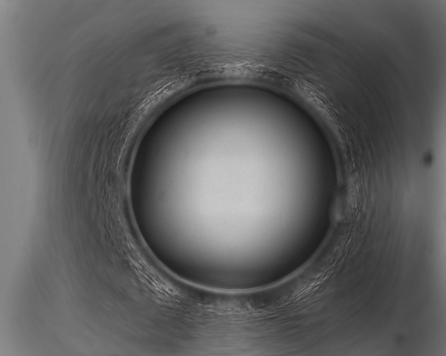 X0000116580673200912101541