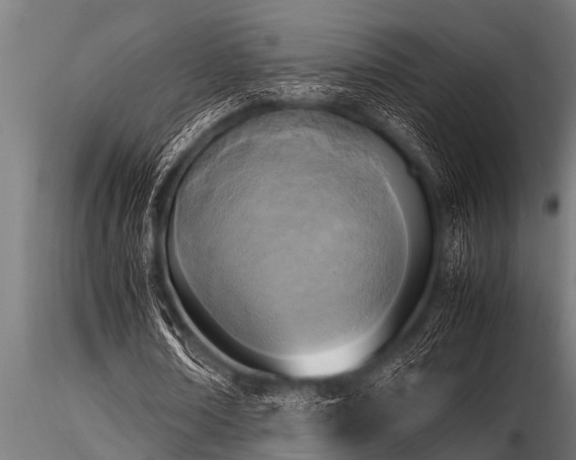 X0000116580674200912101541