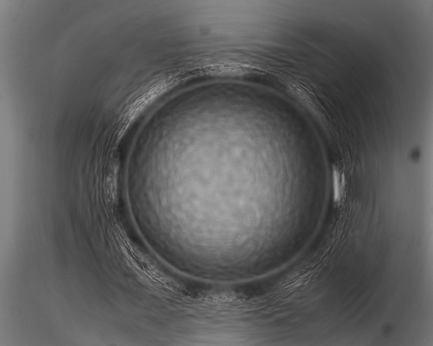 X0000116580675200912101541