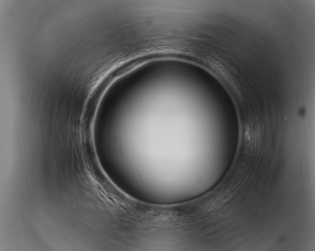 X0000116580676200912101541