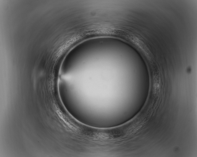 X0000116580677200912101541