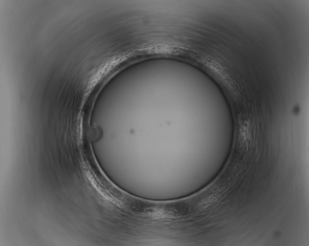 X0000116580678200912101541