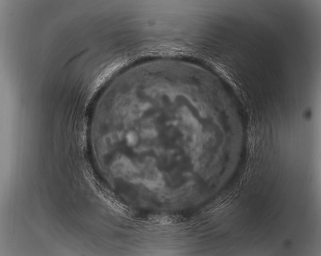 X0000116580679200912101541