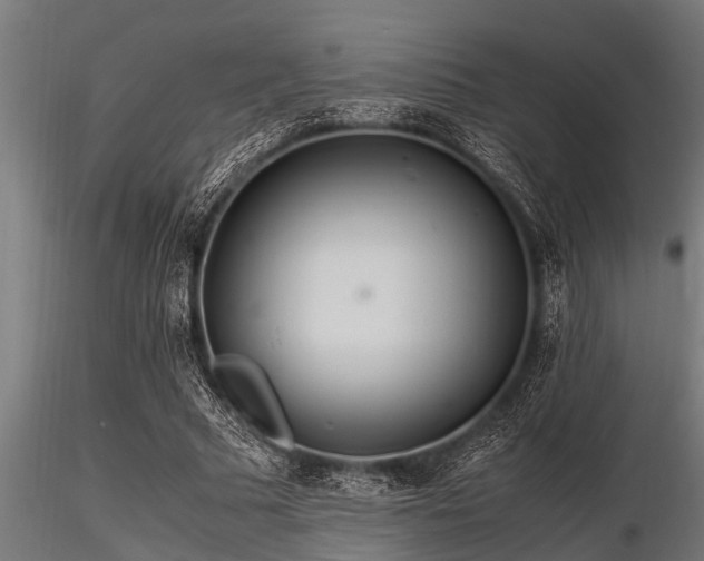 X0000116580681200912101541