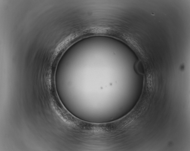 X0000116580682200912101541