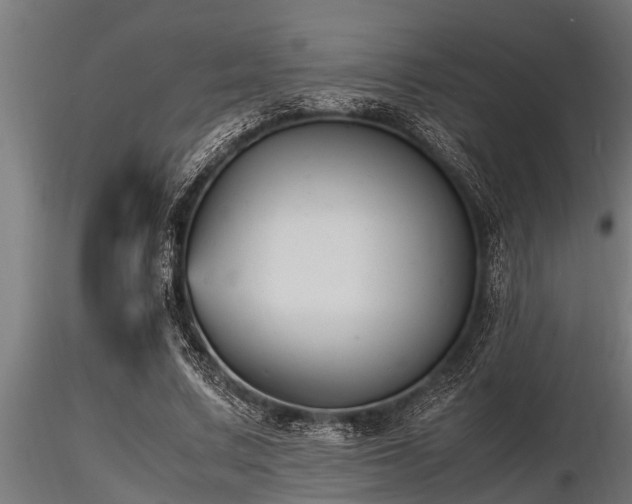 X0000116580683200912101541