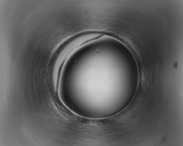 X0000116580684200912101541