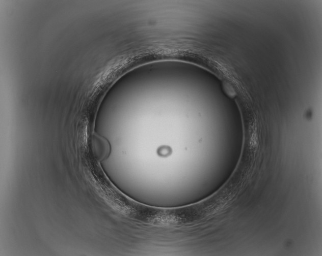 X0000116580685200912101541