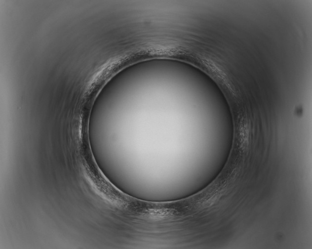 X0000116580686200912101541