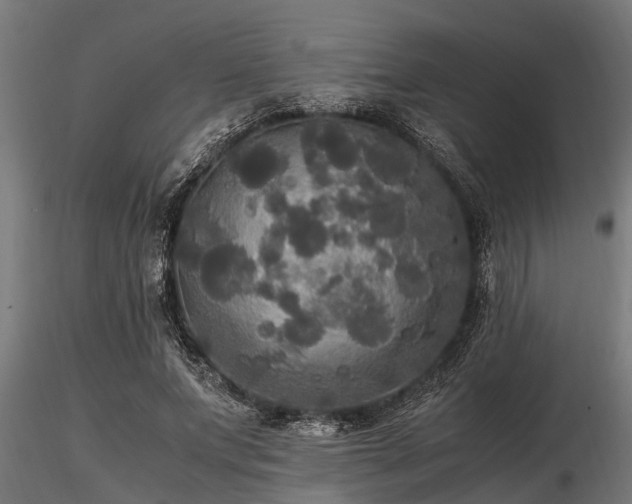 X0000116580687200912101541