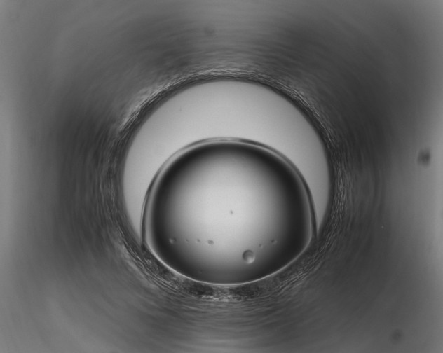 X0000116580688200912101541