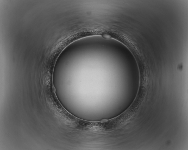 X0000116580689200912101541