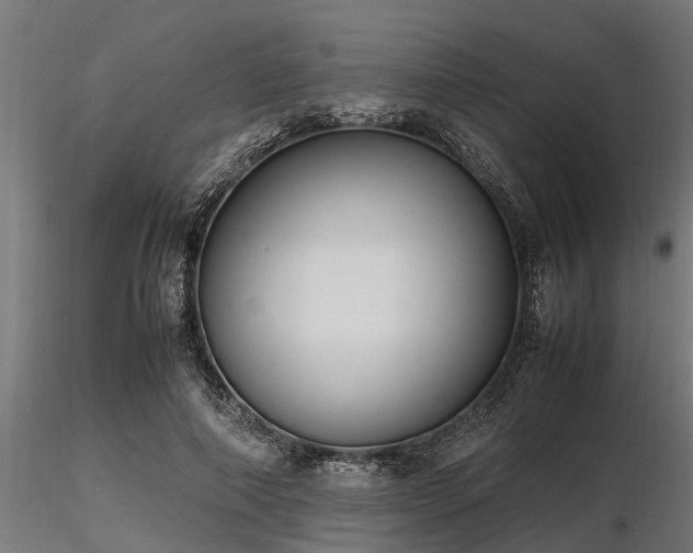 X0000116580690200912101541