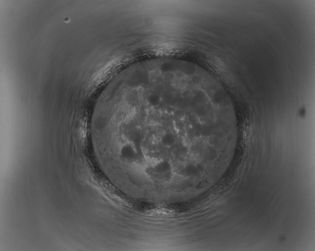 X0000116580691200912101541