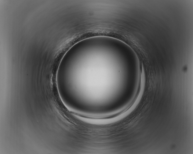 X0000116580692200912101541