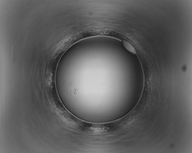 X0000116580693200912101541