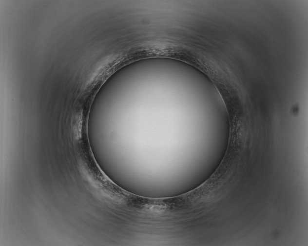 X0000116580694200912101541