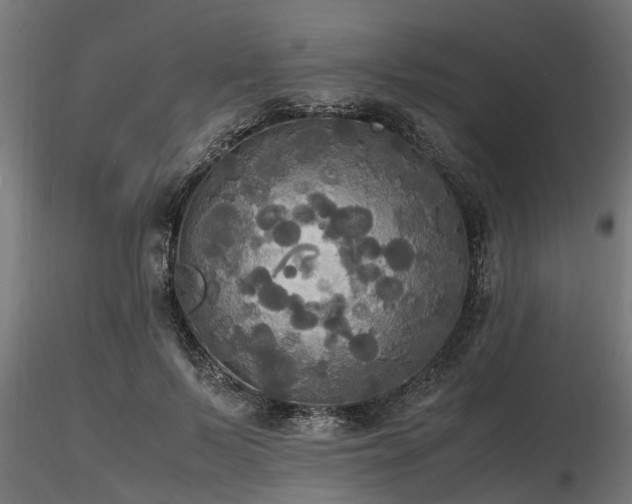 X0000116580695200912101541