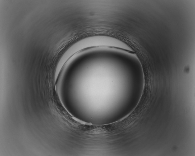 X0000116580696200912101541