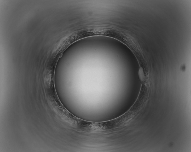 X0000116580697200912101541