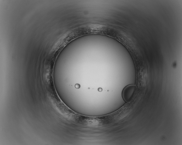 X0000116580698200912101541