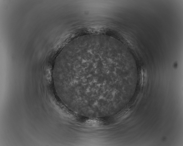 X0000116580699200912101541