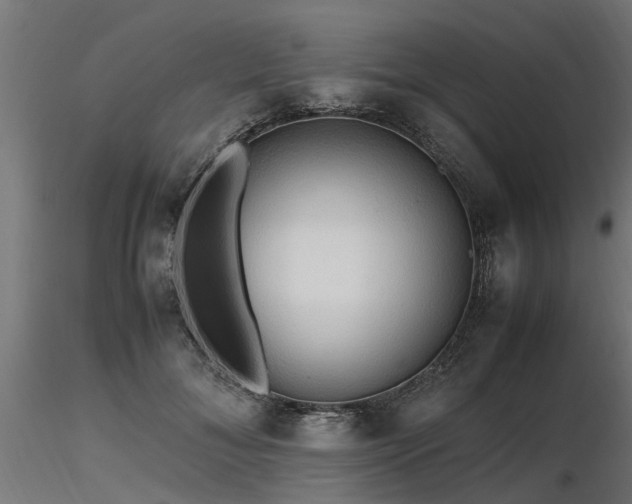 X0000116580700200912101541