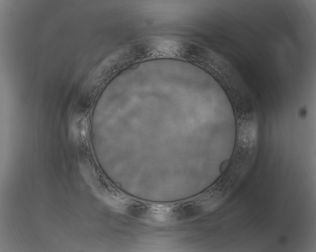 X0000116580701200912101541