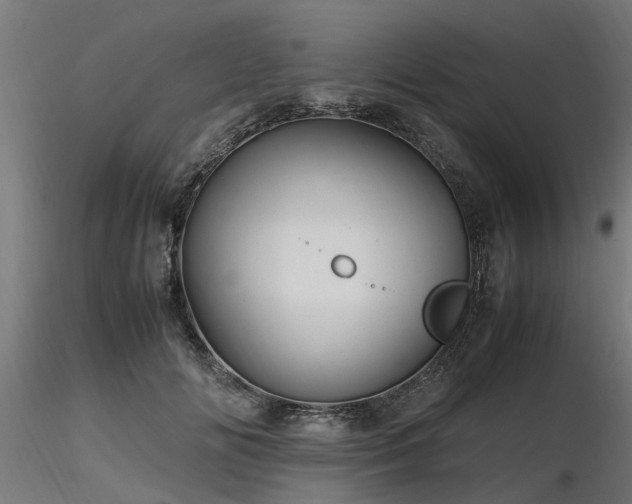 X0000116580702200912101541