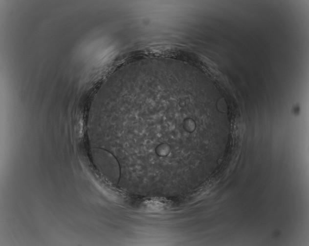 X0000116580703200912101541